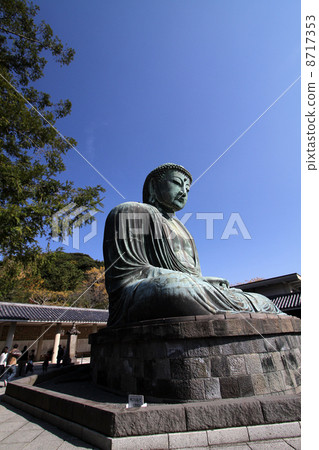 鎌倉大佛 8717353