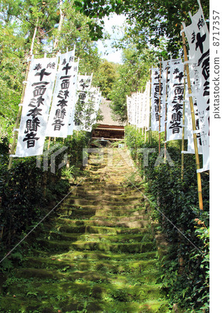 苔蘚的樓梯（杉本寺） 8717357