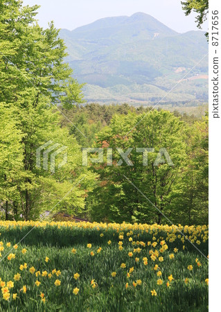 Miyagi Zao Eboshi Sai節日 8717656