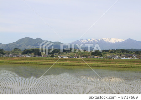 Spring Zao forecast 8717669