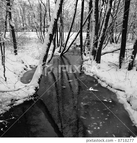 Winter landscape with small river. 8718277