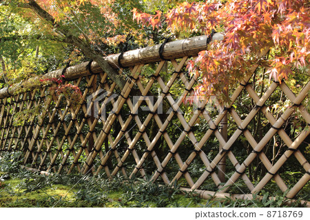 京都Koetsu寺Koetsu籬芭 8718769