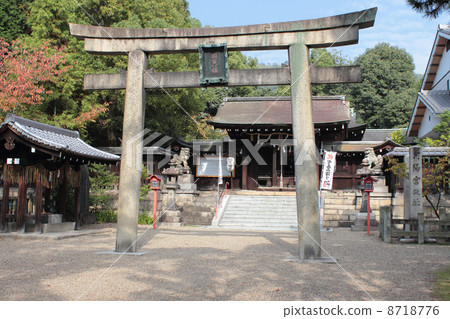 京都御所八幡宮 8718776