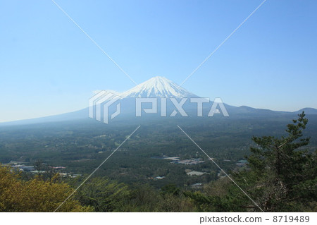 Mt. Fuji from the autumn foliage 3 8719489