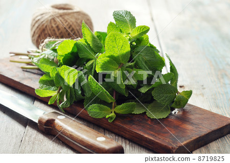 Green mint leaves Green mint leaves 8719825