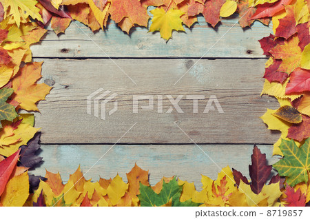 Frame from autumn leaves Frame from autumn leaves 8719857