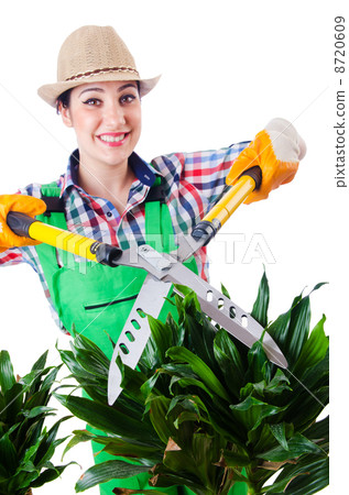 Woman gardener with shears on white Woman gardener with shears on white 8720609