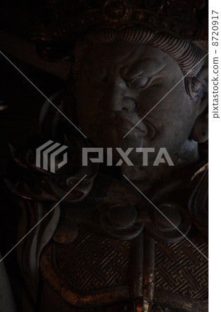 Todaiji Takatori 8720917