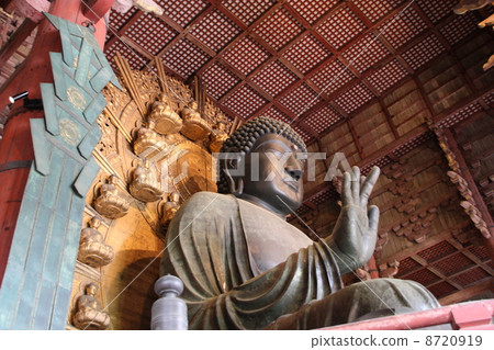 Todaiji Great Buddha 8720919