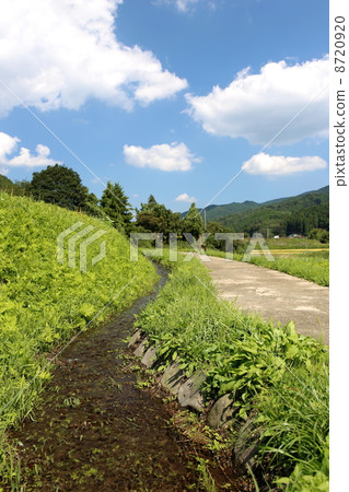 Iyo Hizusawa 8720920