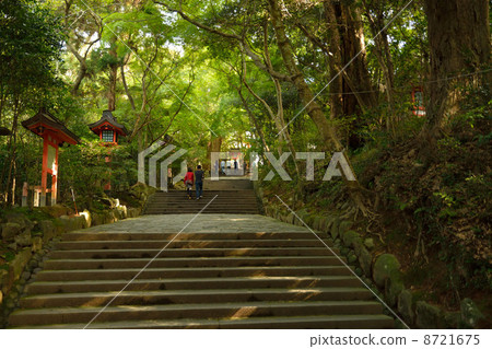 美國神社 8721675