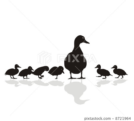 Mallard with young 8721964