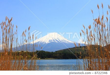Mount Fuji Mount Fuji 8722346
