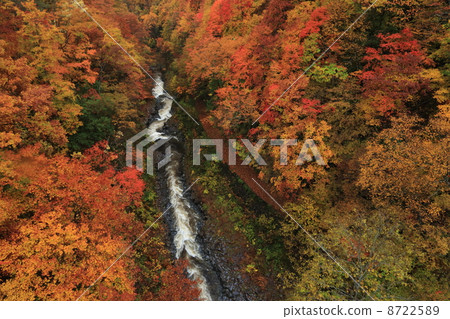 Nakatsugawa Valley 8722589