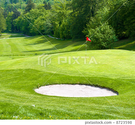 golf field. green grass. spring landscape 8723598