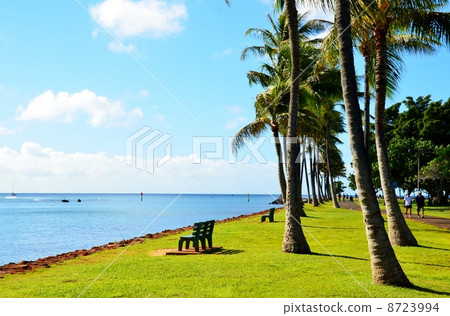 Holidays in Hawaii 8723994