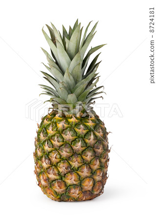 Pineapple Pineapple 8724181