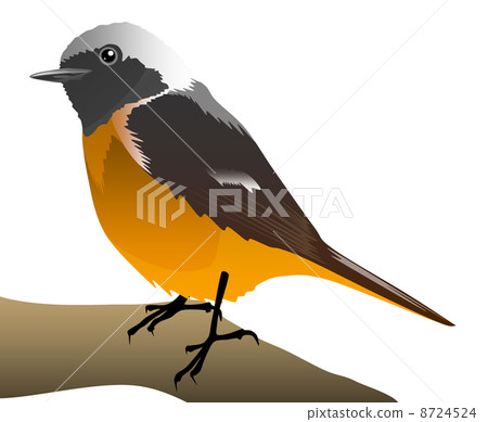 Illustration of Jawitaki 8724524