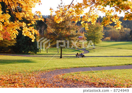 People relaxing on the bench in autumn leaves 8724949