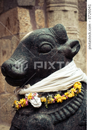 Statue of Nandi Bull at Hindu Temple 8726041