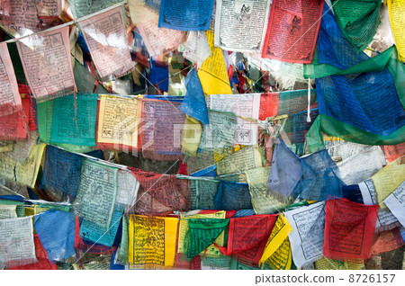 Praying flags at Buddhist monastery. India 8726157