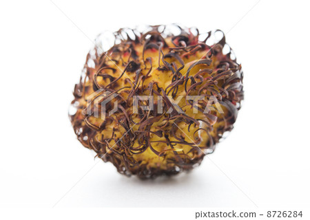 Fruit: Rambutan 8726284