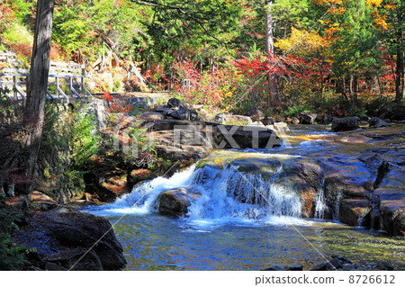 Akazawa自然休閒森林·秋葉 8726612