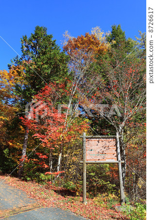 Akazawa自然休閒森林·秋葉 8726617