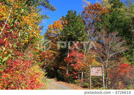 Akazawa自然休閒森林·秋葉 8726618