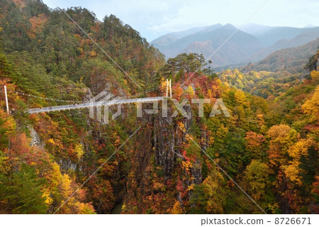 SETOGAWA Crossing Takeshi Suspension Bridge 8726671