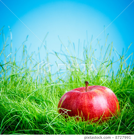 Apple on the grass Apple on the grass 8727991