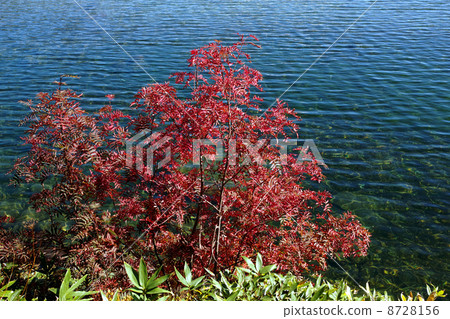 Nanakamado and Kamonuma 8728156