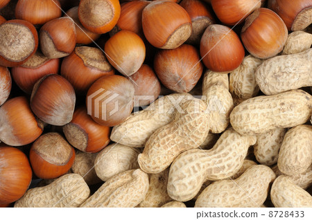 Walnuts and peanuts Walnuts and peanuts 8728433