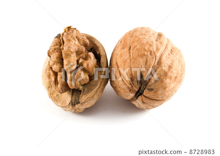 walnut 8728983