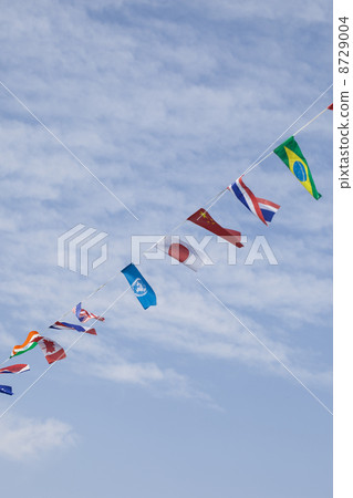 The national flag 8729004