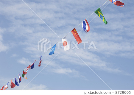 The national flag 8729005