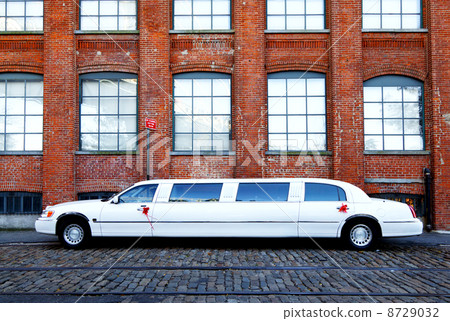 Wedding Limousine Wedding Limousine 8729032