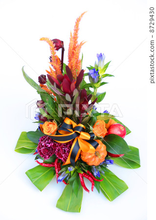 萬聖節萬聖節插花花束植物花玫瑰花束插花絲帶食品蔬菜秋季口味良好騷擾順有機蔬菜家庭蔬菜有機吃分類南瓜玩具南 萬聖節萬聖節插花花束植物花玫瑰花束插花絲帶食品蔬菜秋季口味良好騷擾順有機蔬菜家庭蔬菜有機吃分類南瓜玩具南 8729430