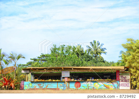 Kauai street shop 8729492