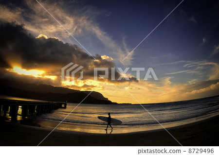 Hanalei Surfer 8729496