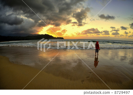 Hanalei walk 8729497