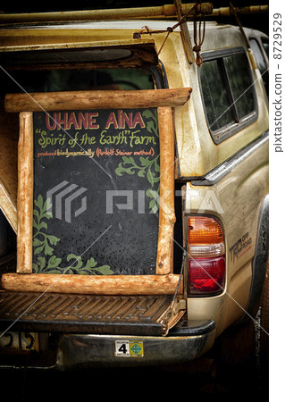 Kauai Flea Market 8729529