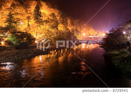 Night curry Arashi River Night curry Arashi River 8729541