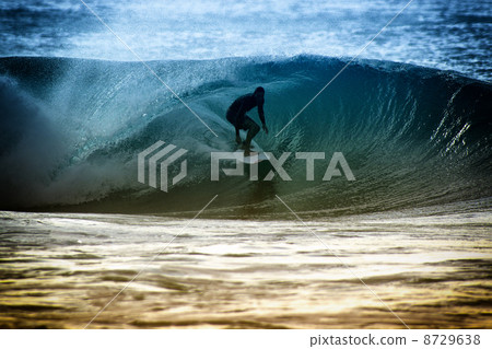 夏威夷北岸 夏威夷北岸 8729638