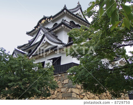 Hikone castle Hikone castle 8729750