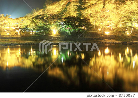 Night curry Arashi River 8730087