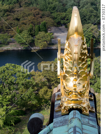 Shachihoko 8730317