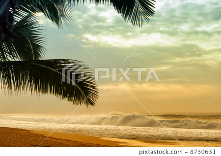 夏威夷北岸 8730631