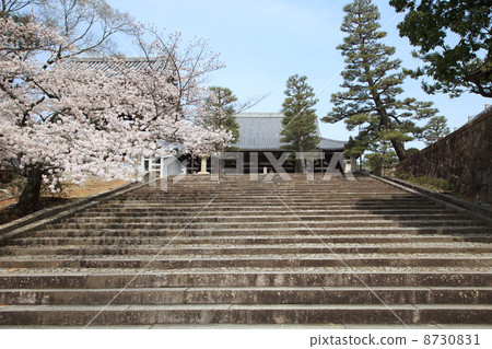 Kinkaku Komyoji Temple 8730831