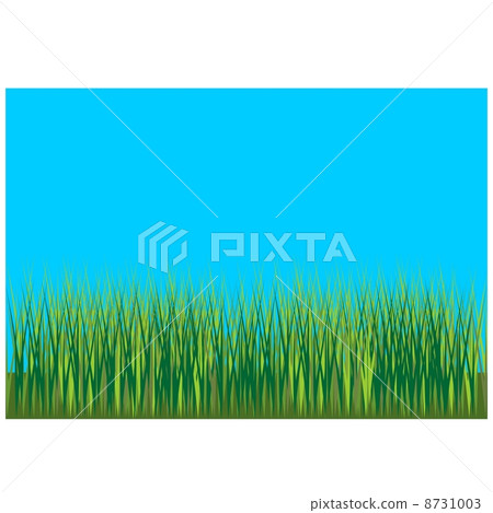 Grass background 001 8731003